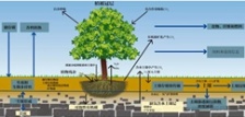 什么叫總有機(jī)碳TOC?