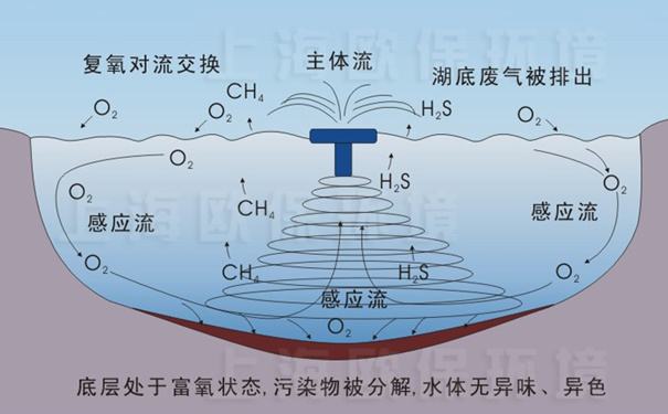 水中溶解氧測定原理